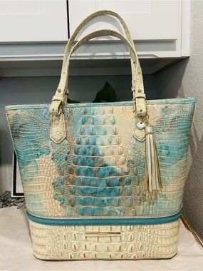 Brahmin Serendipity Schulz Asher Tote with Tassel